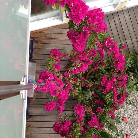 „1. Work & Sleep Luxury Apartment“ Fuer Arbeiten & Wohnen !