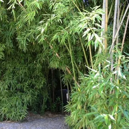 아파트 „1. Work & Sleep Luxury Apartment“ Fuer Arbeiten & Wohnen ! 잘츠부르크