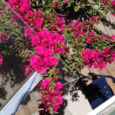 „1. Work & Sleep Luxury Apartment“ Fuer Arbeiten & Wohnen ! Salisburgo