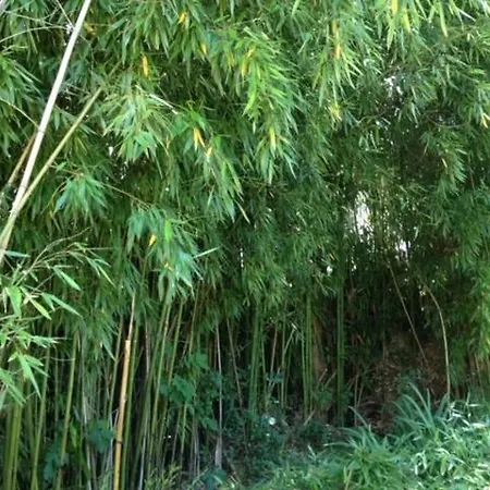 „1. Work & Sleep Luxury Apartment“ Fuer Arbeiten & Wohnen ! Appartamento