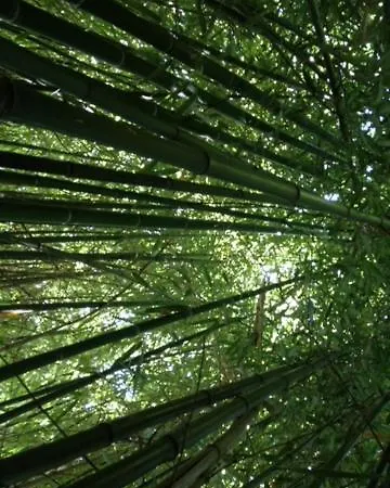 „1. Work & Sleep Luxury Apartment“ Fuer Arbeiten & Wohnen ! * Salzbourg