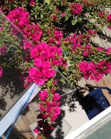 Appartamento „1. Work & Sleep Luxury Apartment“ Fuer Arbeiten & Wohnen ! *